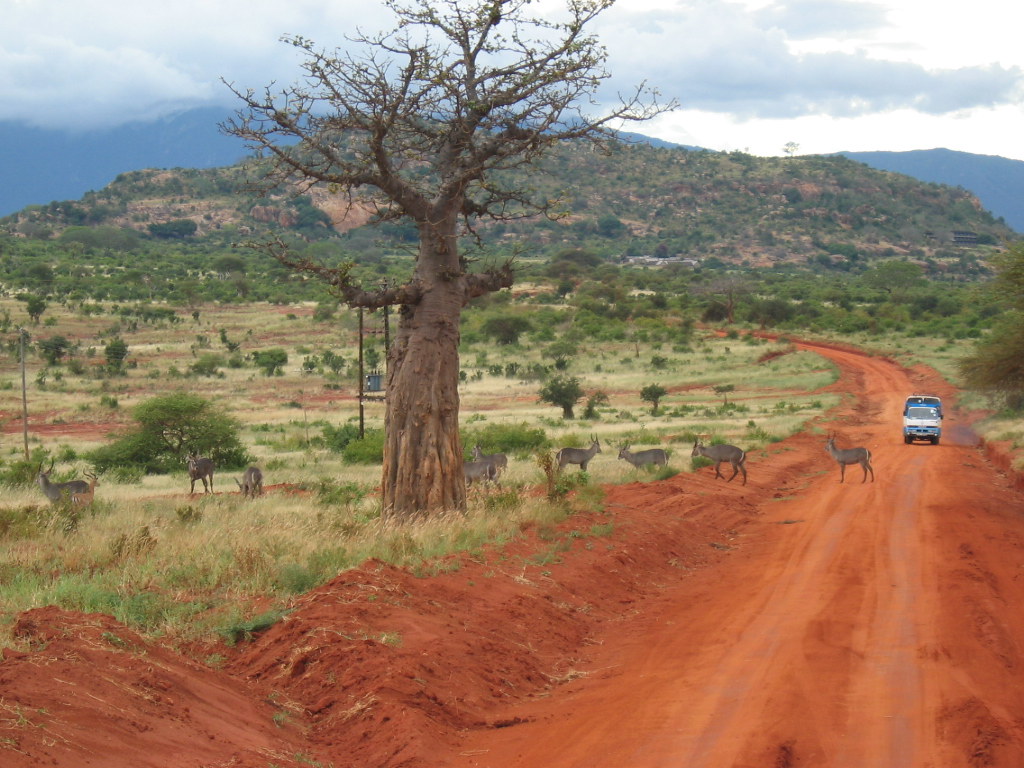 Safari vehicle on a wide Kenyan savanna with acacia trees and distant hills